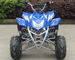 Electric Start Racing 4 Wheelers Youth 110cc Atv With Front Double A - Arm