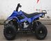 Chain Drive Youth Electric Atv 10cc Air Cooled Single Cylinder With Two Wheel