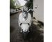Kick / Electrical Start 150cc Motor Scooter 1 Cylinder 4 Stroke Air Cooling