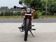 Mountain Road 250cc Chopper Motorcycle With CDI Starting System EPA Certification