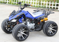 Chain Drive Transmission System Off Road Four Wheelers Cool Sports 125CC Atv