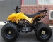 125cc Air Cooled Youth Racing ATV 4 Stroke Single Cylinder Chain Drive