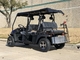 CDI Ignition 2wd 4wd 6 Person 400cc Golf Cart Utv