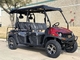 CDI Ignition 2wd 4wd 6 Person 400cc Golf Cart Utv