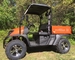 UTV 2WD 4WD Fuel Injected 25.8 HP Gas Utility Vehicles
