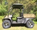 UTV 2WD 4WD Fuel Injected 25.8 HP Gas Utility Vehicles