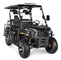 200cc Golf Utility Vehicle