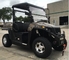 250cc Utv Utility Vehicle 2x4 Fuel Injected With Roof