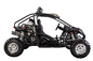 Go Kart Buggy With 600cc Chery Engine Manual Transmission With 5 Gears